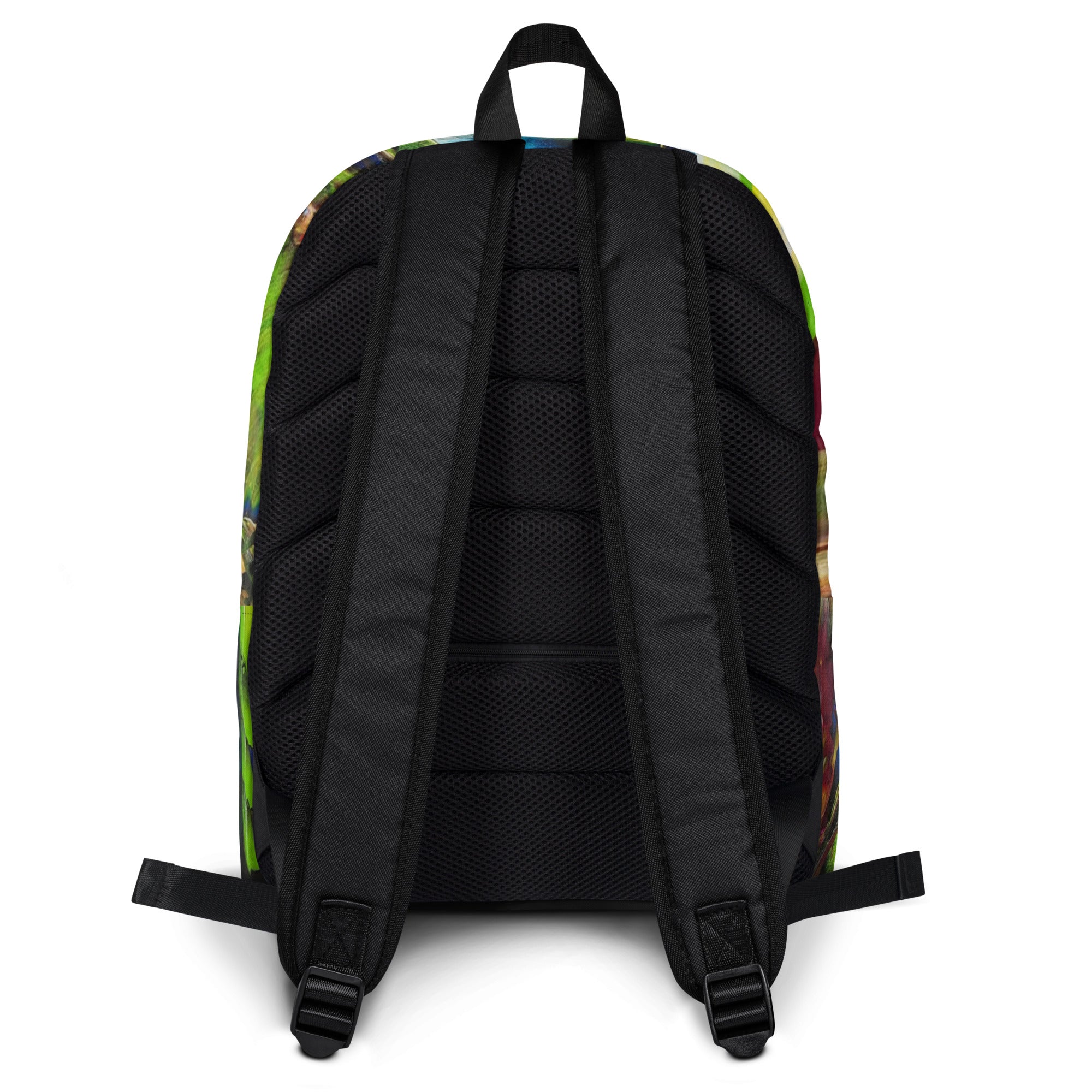 Backpack-OD1