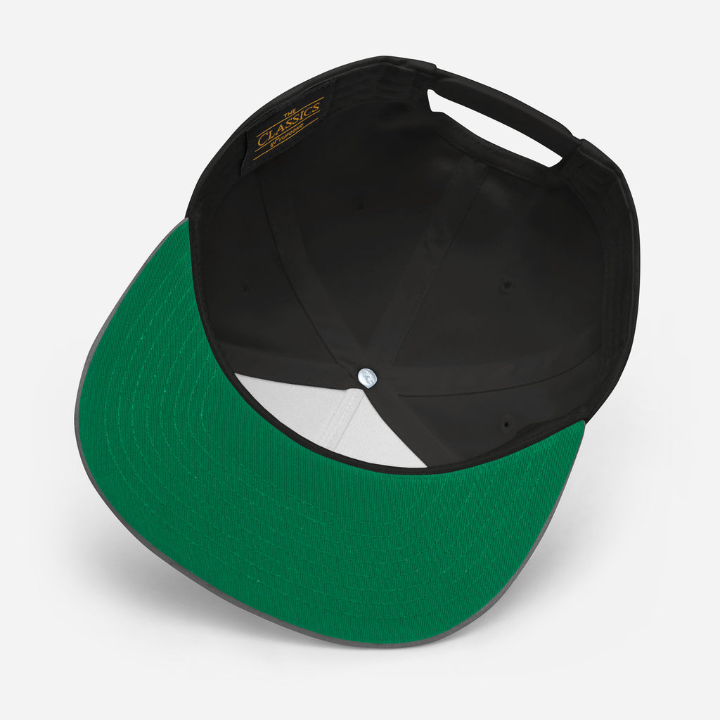 Flat Bill Cap- TBB Light on Dark