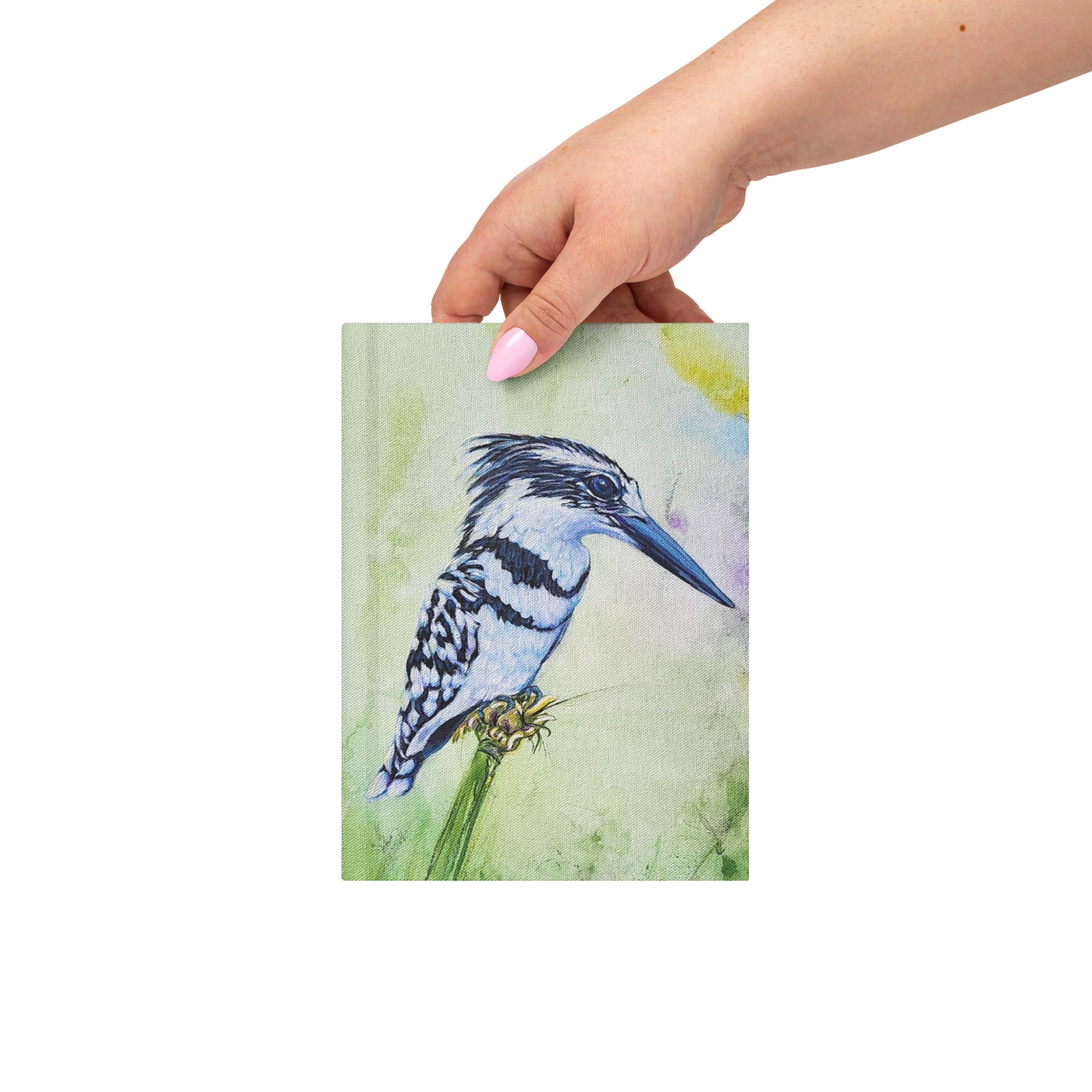Journal- King Fisher