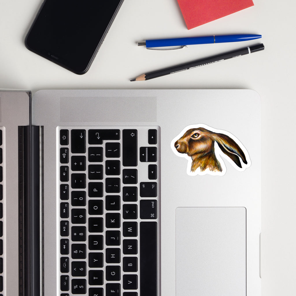 Vinyl decals- Bothered Bunny