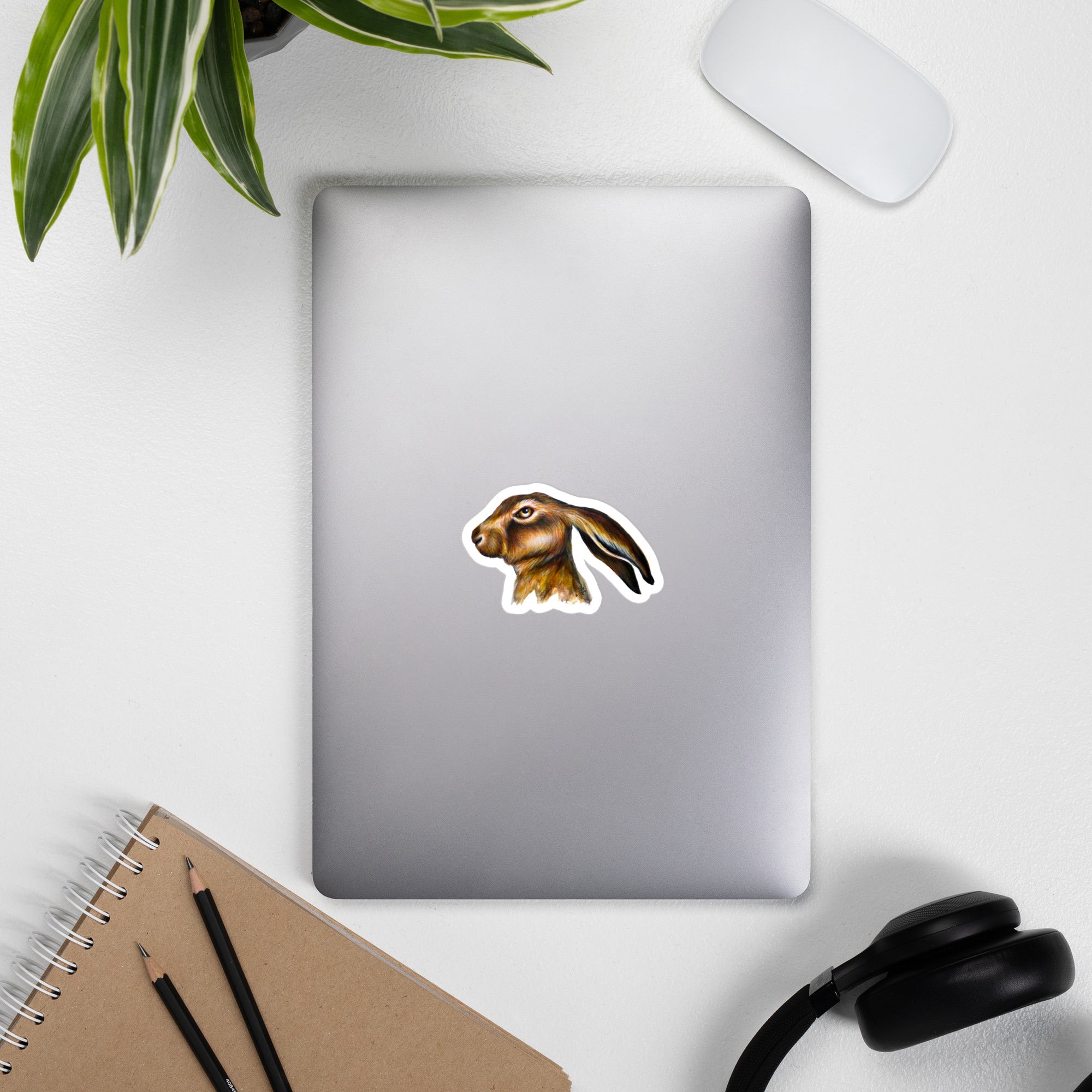 Vinyl decals- Bothered Bunny