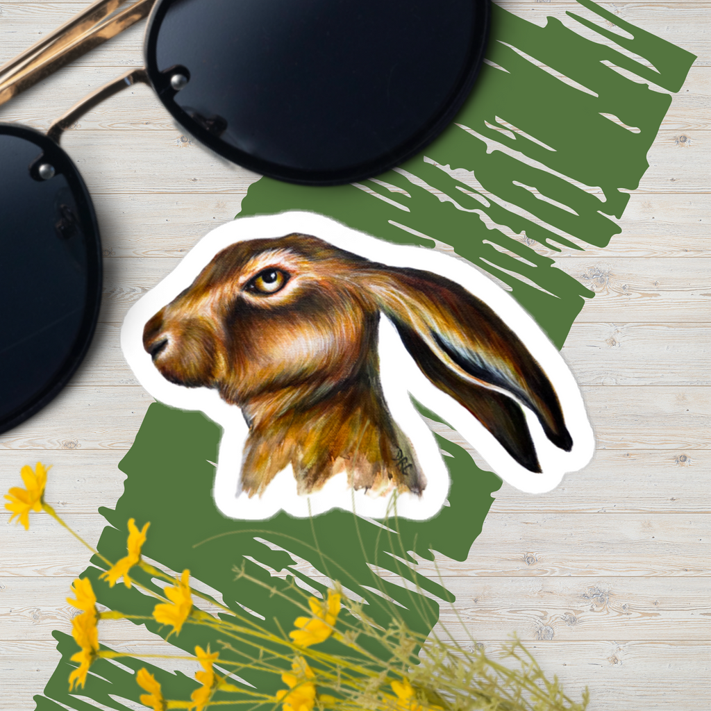 Vinyl decals- Bothered Bunny