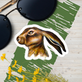 Vinyl decals- Bothered Bunny