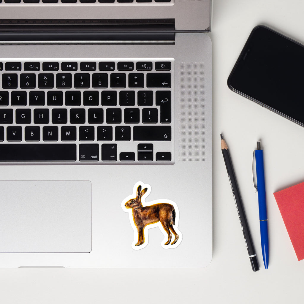 Vinyl decals- Morning Hare