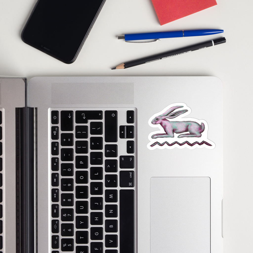 Vinyl decals- Hieroglyph Pink