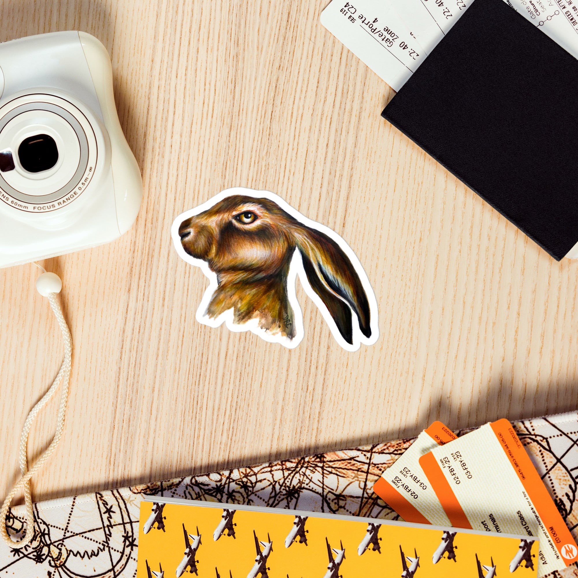Vinyl decals- Bothered Bunny