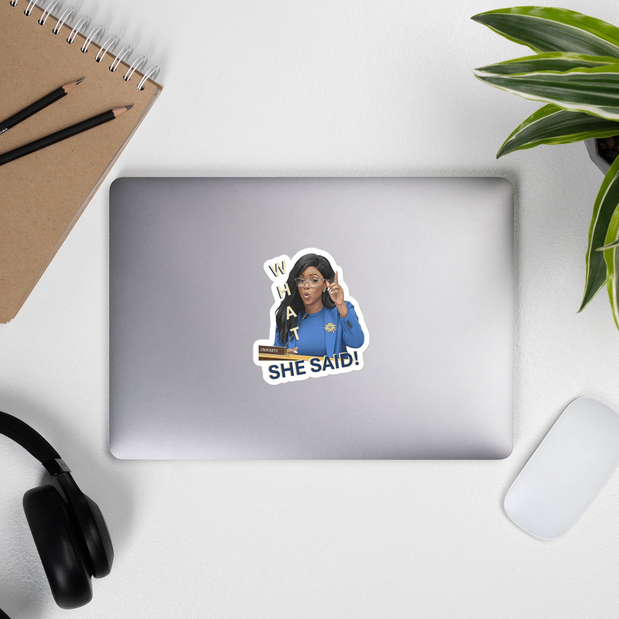 Vinyl decals- What She Said