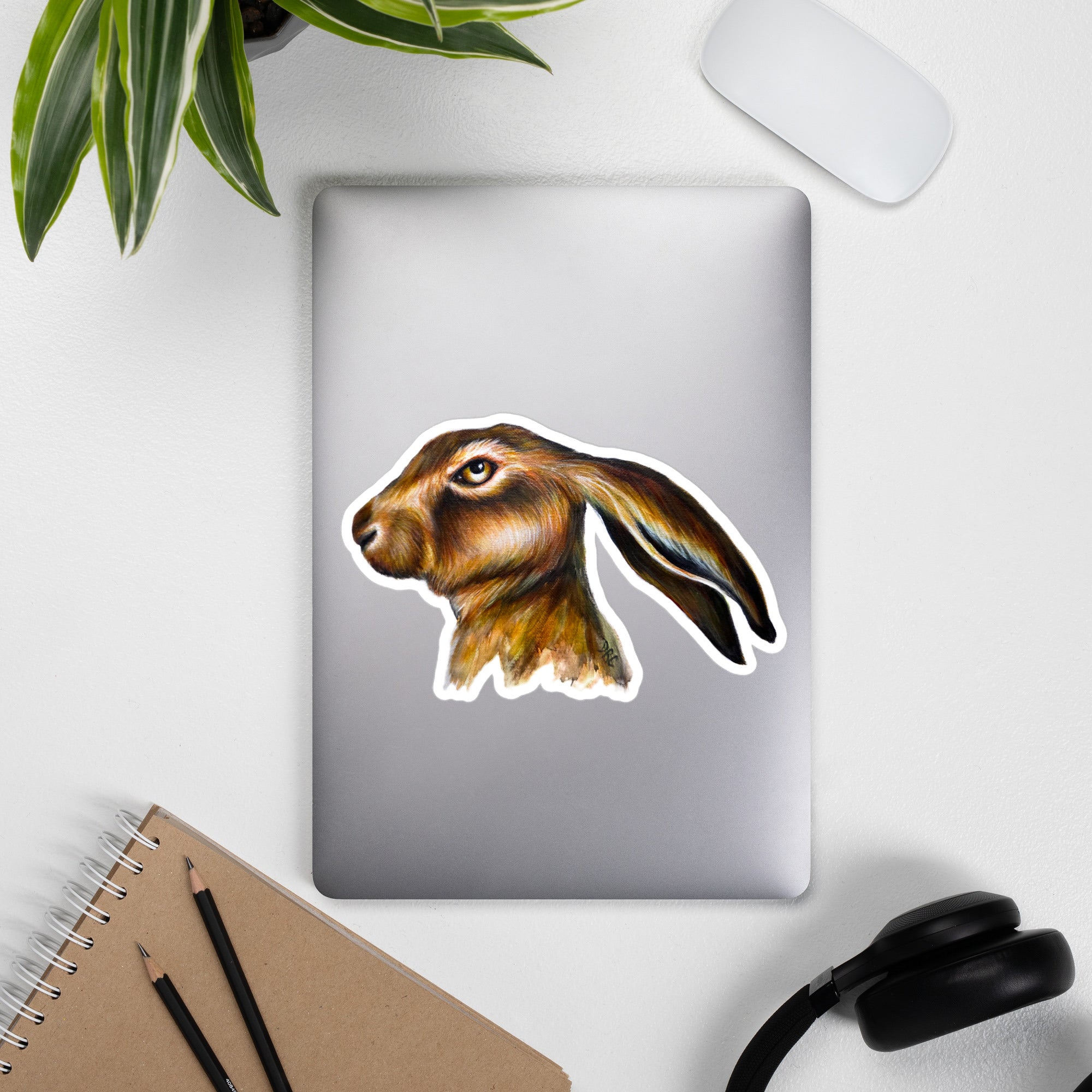 Vinyl decals- Bothered Bunny