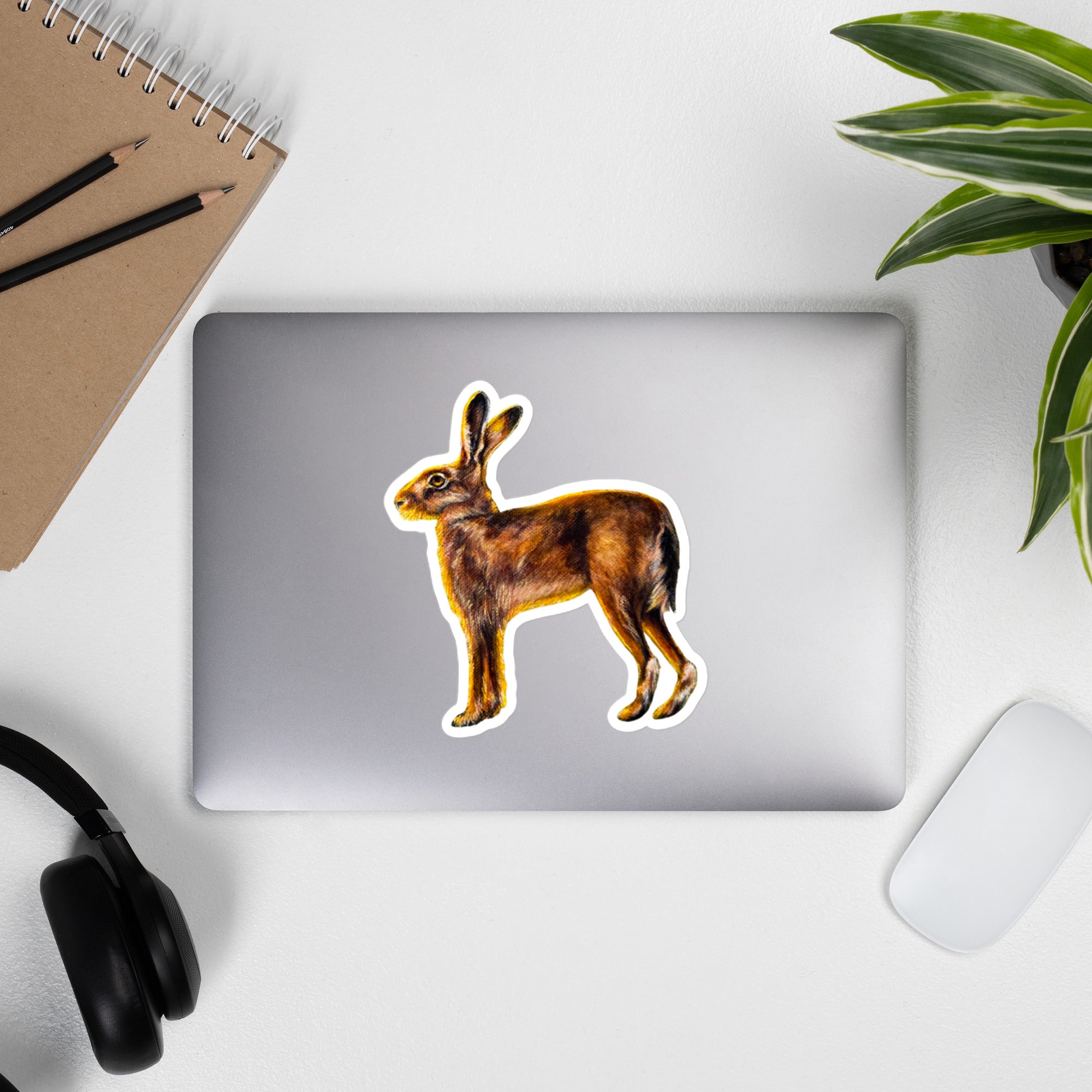 Vinyl decals- Morning Hare
