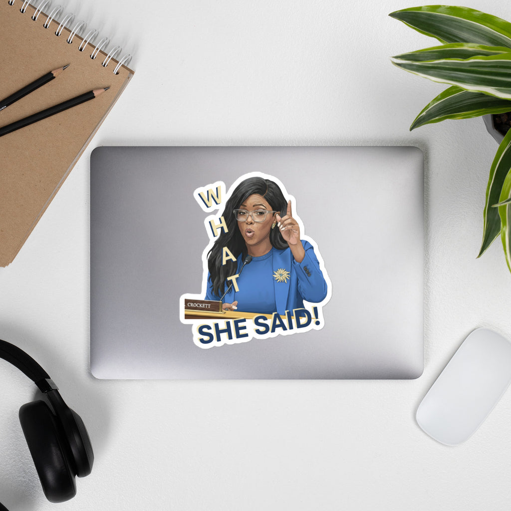 Vinyl decals- What She Said